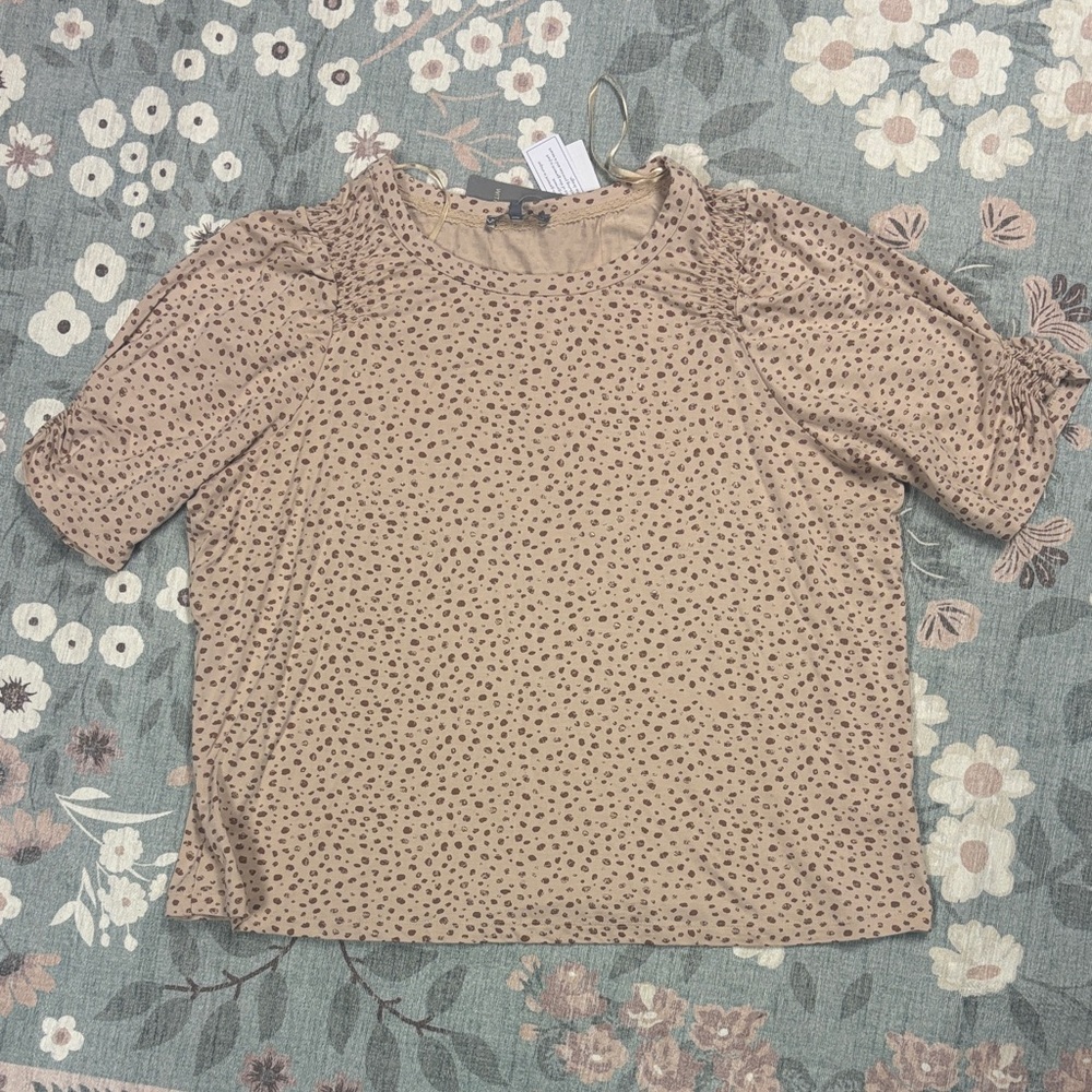 Wit & Wisdom Top